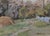 Vintage Gouache Painting: Autumn Rural Landscape, Soviet Ukrainian Art 50-70 For Sale - Image 6 of 6
