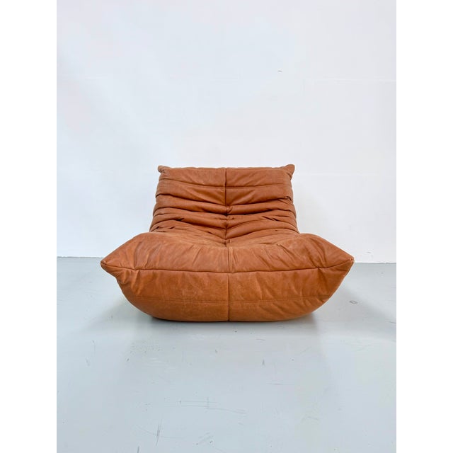 Vintage Togo Lounge Chair in Cognac Leather by Michel Ducaroy for Ligne Roset For Sale - Image 11 of 11