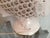 Fish Lamp from G.E.S Sesto Fiorentino, 1980s For Sale - Image 6 of 10
