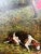 English Sporting Style Oil Painting, Huntsman & Hounds, Ornate Gilt Frame 1980's For Sale - Image 4 of 14