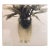 Russell Drisch, Vase With Foliage, Hand Tinted Photograph. Vintage Photo Print For Sale