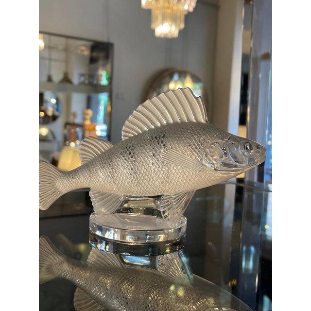 Crystal Fish Figurine by Lalique For Sale - Image 9 of 10