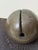 Antique Horse Sleigh Bells on Leather Collar, 1890s For Sale - Image 14 of 18