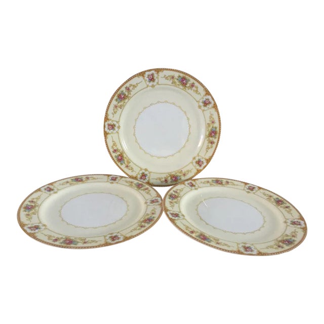Vintage Floral Dinner Plates - Set of 3 For Sale