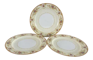 Vintage Floral Dinner Plates - Set of 3