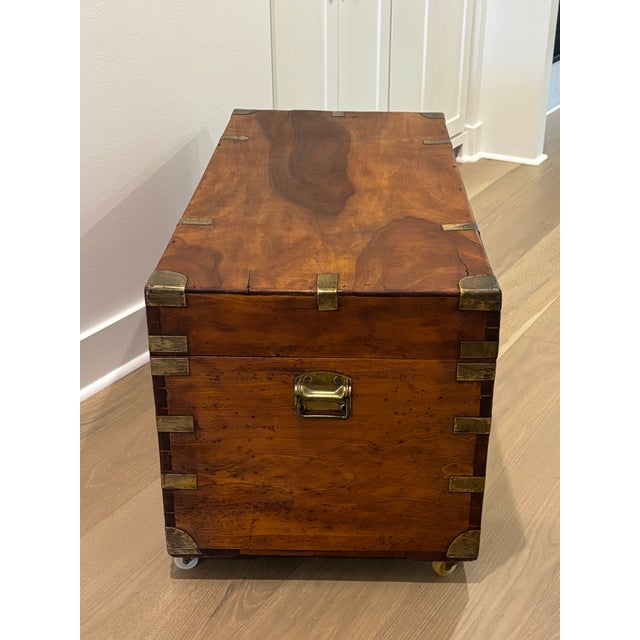 Wood Large 19th Century British Campaign Trunk in Brass Bound Camphor Wood For Sale - Image 7 of 15