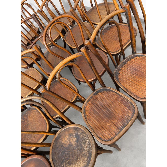 French Wood Bistro Chairs in the style of Thonet, France, 1940, Set of 60 For Sale - Image 11 of 13