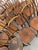 French Wood Bistro Chairs in the style of Thonet, France, 1940, Set of 60 For Sale - Image 11 of 13