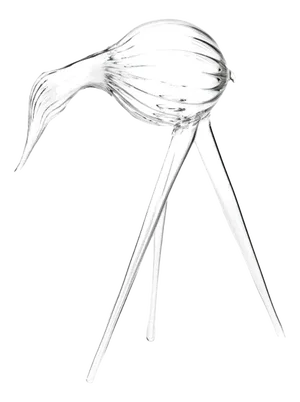 Dodo 2 from Casarialto