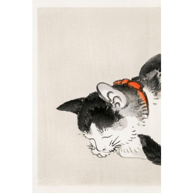 Sleeping Cat by Kōno Bairei is a serene Japanese art print reproduction based on a late 19th-century ink painting...