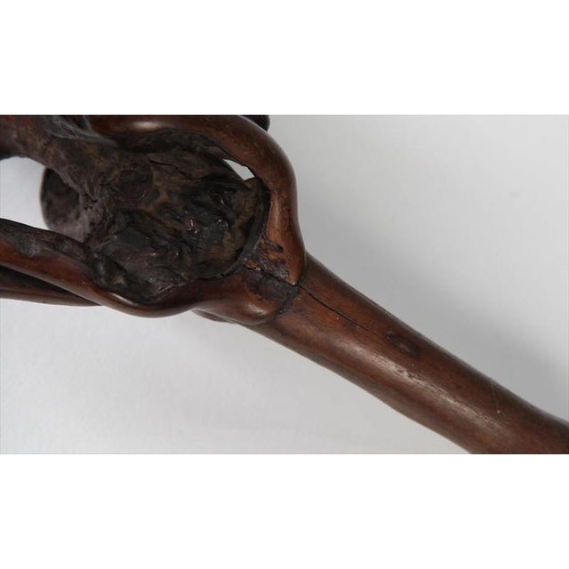 Brown Chinese Rootwood Fly Whisk, 19th Century For Sale - Image 8 of 8