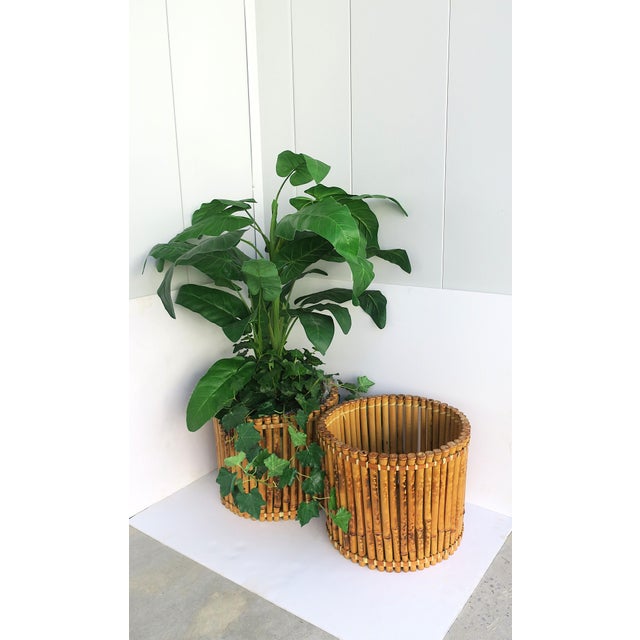 Wicker Bamboo Planter Pot Holder Cachepot, 2 Avail., Circa Mid-Late 20th Century For Sale - Image 9 of 16