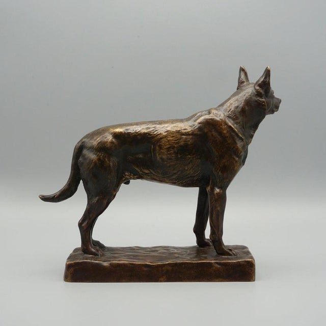 Amédéé Charles Loyseau, German Shepard, 1890s, Bronze For Sale - Image 5 of 12