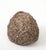 Sculpture Materials Reconstituted Stone Hedgehog Garden Ornament, 20th Century For Sale - Image 7 of 10