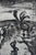 Georges Rouault, La cueillette de fruits, Etching For Sale - Image 4 of 6