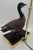Duck Table Lamp in Polished Brass, 1970s For Sale - Image 15 of 18