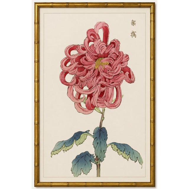 Pink Mum by Hasegawa, Vintage Japanese Botanical Art Print, 16" X 24" For Sale In Buffalo - Image 6 of 8