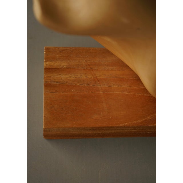 Carved Applewood Abstract Sculpture, 1980s For Sale - Image 11 of 12