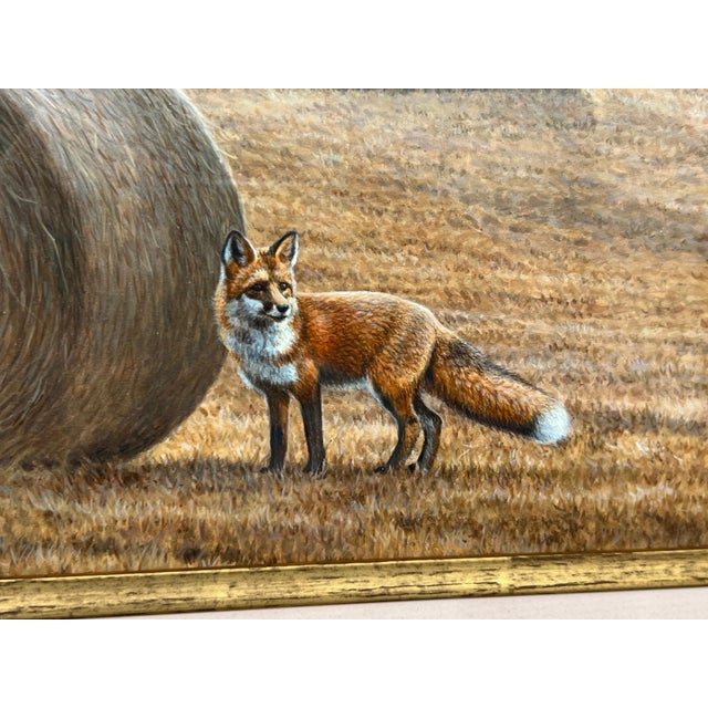 Fox amidst the Hay Bales on Misty Morning in a Field in the English Countryside 2014 For Sale - Image 14 of 18