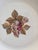 Ceramic Bidasoa Spain Fruit Motif Salald or Dessert Plates - Set of 5 For Sale - Image 7 of 11