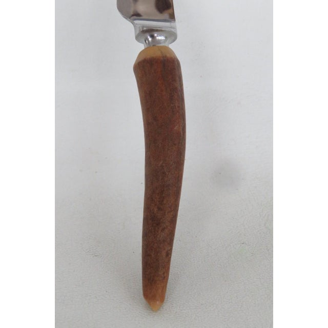 Mid 20th Century Mid Century Modern Lewis Rose Co Sheffield England Stainless Steel Steak Knife Stag Handle For Sale - Image 4 of 10