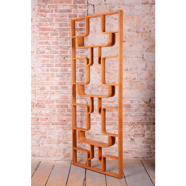 Brown Mid-Century Room Divider by L. Volak for Drevopodnik Holesov, Czech, 1960s For Sale - Image 8 of 12