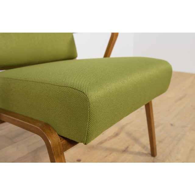 Armchair by Selman Selmanagic for Veb Deutsche Werkstätten Hellerau, Germany, 1950s For Sale - Image 14 of 16