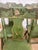 English Set of 6 19th Century Hitchcock Style Chairs For Sale - Image 3 of 6
