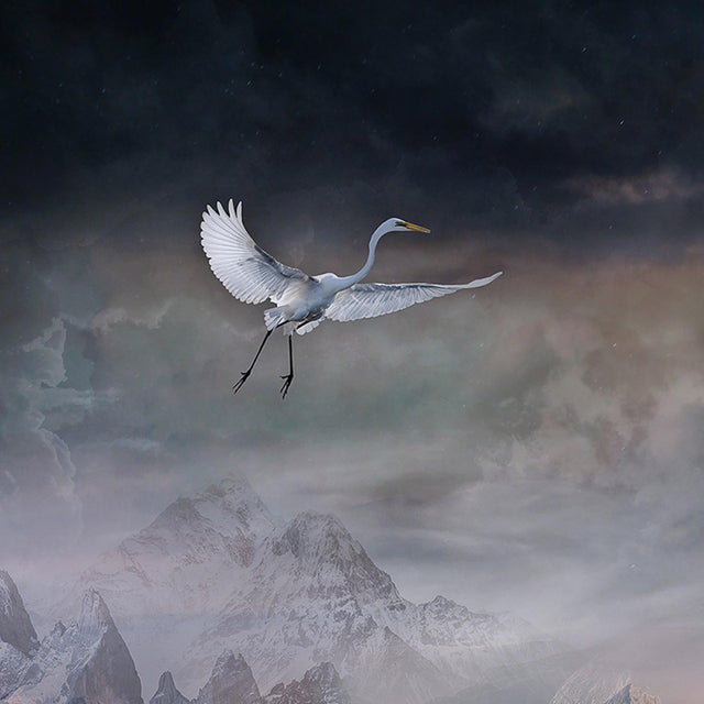 Queen of the Wild Hearts features a surreal composition where a winged figure, embodying both human and animal traits,...