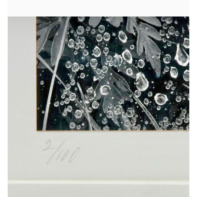 Mid 20th Century Andreas Feininger, American Photographer Andreas Feininger Silver Gelatin Vintage Print For Sale - Image 5 of 11