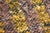 Modern Flat Weave Rug - 8' X 10'5" For Sale - Image 10 of 16