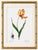 Paper Didier's Tulip by Redouté, Vintage Botanical Art Print, 24" X 32" For Sale - Image 7 of 10