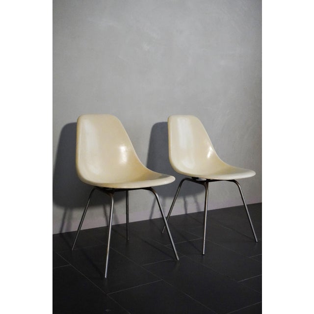 Mid-Century Modern Vintage Cream Fiberglass Chairs by Charles & Ray Eames for Herman Miller, 1950s, Set of 2 For Sale - Image 3 of 18
