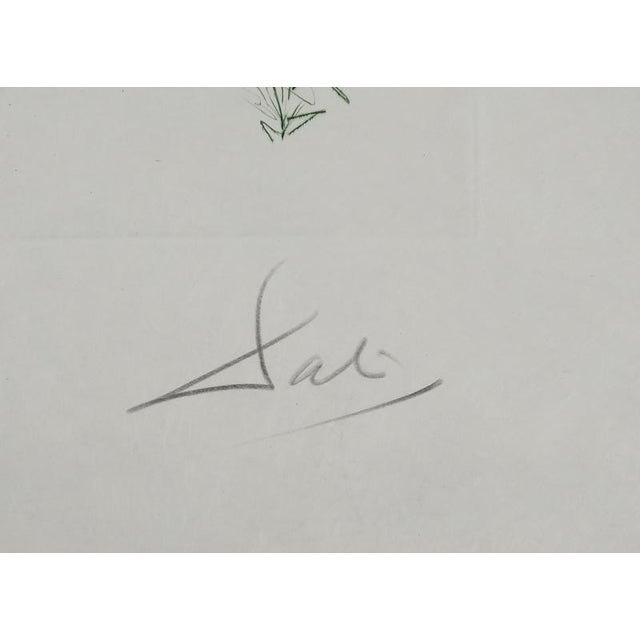Salvador dali (1904-1989) tristan and the dragon, 1970 original engraving (rigal workshop) signed in pencil numbered /75...