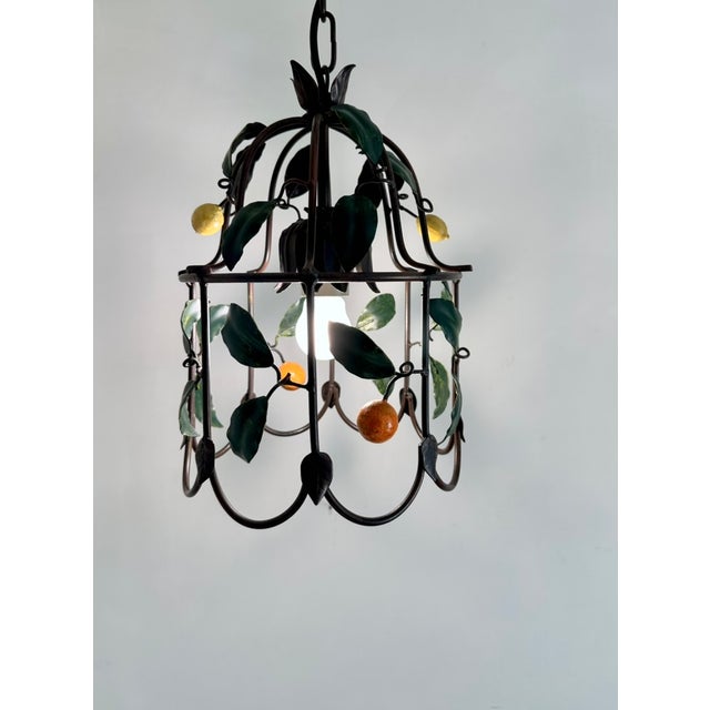 French Citrus Fruit Tole Cage Chandelier by J.P. Ryckaert, 1990s For Sale - Image 13 of 18