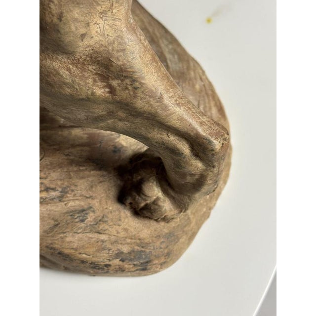 Armand Fagotto, Lion, Terracotta For Sale - Image 12 of 18