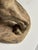 Armand Fagotto, Lion, Terracotta For Sale - Image 12 of 18