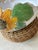 Vintage 12” Italian Sunflower Insized, Glazed Handpainted Terracotta Bowl For Sale - Image 14 of 18