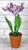 Realism White Parrot Tulip Flamed With Violet in Porcelain by Didier Gardillou For Sale - Image 3 of 7