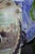 Victorian Late 19th-Century Victorian Bristol-Style Green Opaline Scenic Glass Vase For Sale - Image 3 of 18
