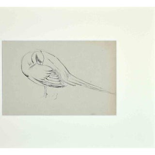 Eugène Juillerat, Sleeping Bird, 1920, Pencil and Pen on Paper For Sale