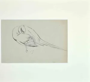 Eugène Juillerat, Sleeping Bird, 1920, Pencil and Pen on Paper