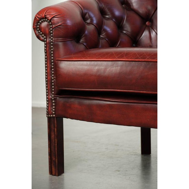 Chesterfield Cowhide Club Armchair in Red For Sale - Image 13 of 14
