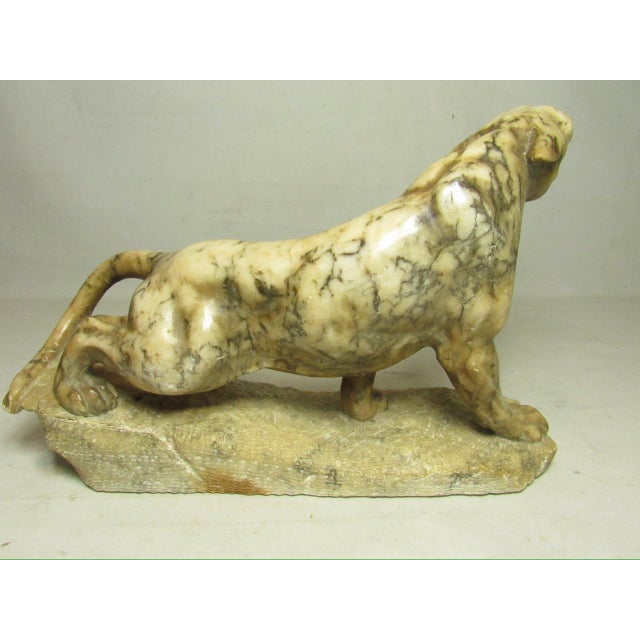 Stone Grand Tour Italian Marble Lion For Sale - Image 7 of 12