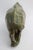 Original James Tandi Signed Verdite Shona Stone Rhinoceros Sculpture, Large For Sale - Image 11 of 14