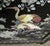 Black Vintage 72 In. Glass Top Asian Sideboard Cabinet For Sale - Image 8 of 13