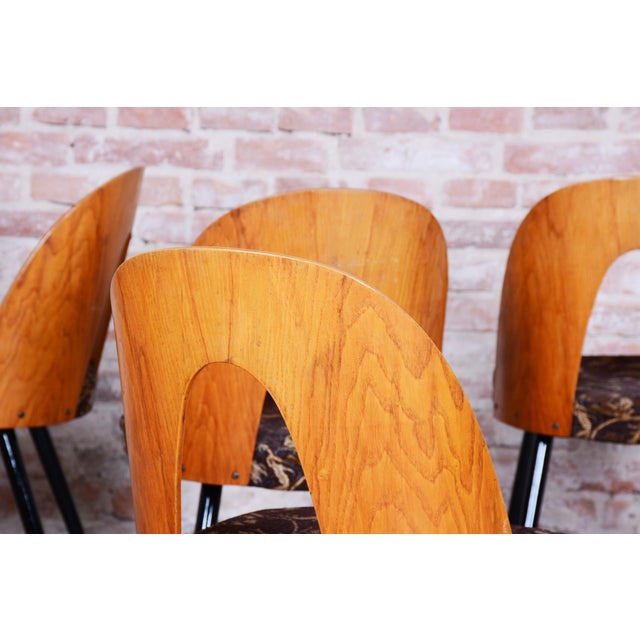 Wood Mid-Century Chairs in Beech & Oak, Slovakia, 1959, Set of 4 For Sale - Image 7 of 12