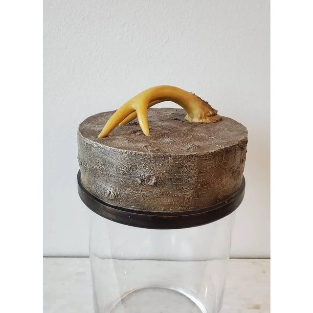Glass Monumental Faux Deer Antler Hurricane Jar For Sale - Image 7 of 11