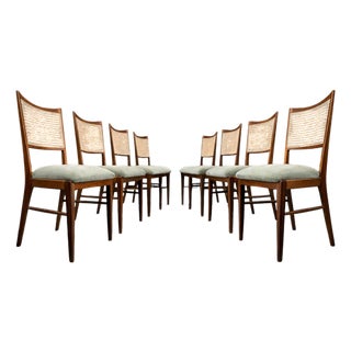 Set of Eight Brazilian Modern Dining Chairs in Caviúna, Cane & Sage Chenille, 1960s For Sale