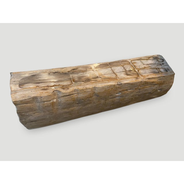 Andrianna Shamaris Rare Petrified Wood Log Bench For Sale - Image 17 of 18